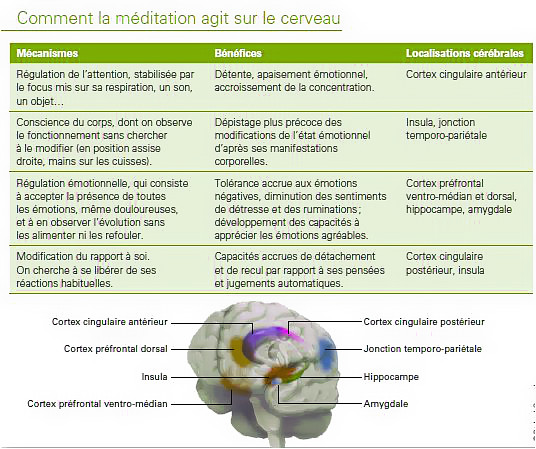 tableau-meditation-cerveau